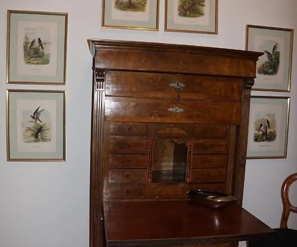 Daire Zimmerberg Tabarz